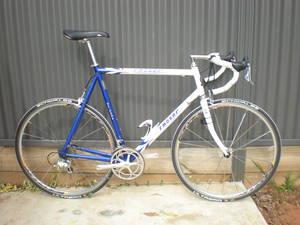 Moser 